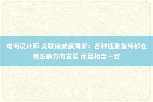 电商设计师 美联储威廉姆斯：各种通胀指标都在朝正确方向发展 而且相当一致